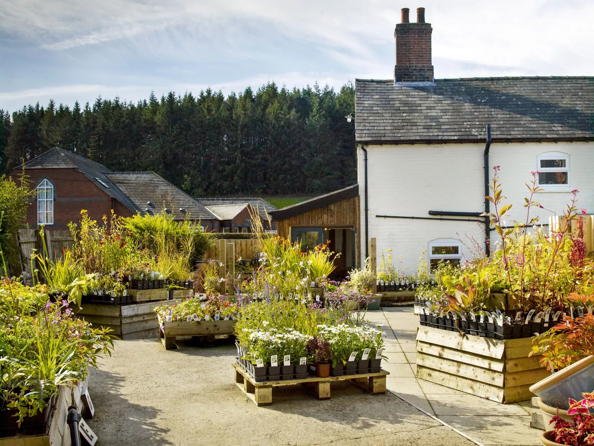 The Plant Shop at the back of the pub