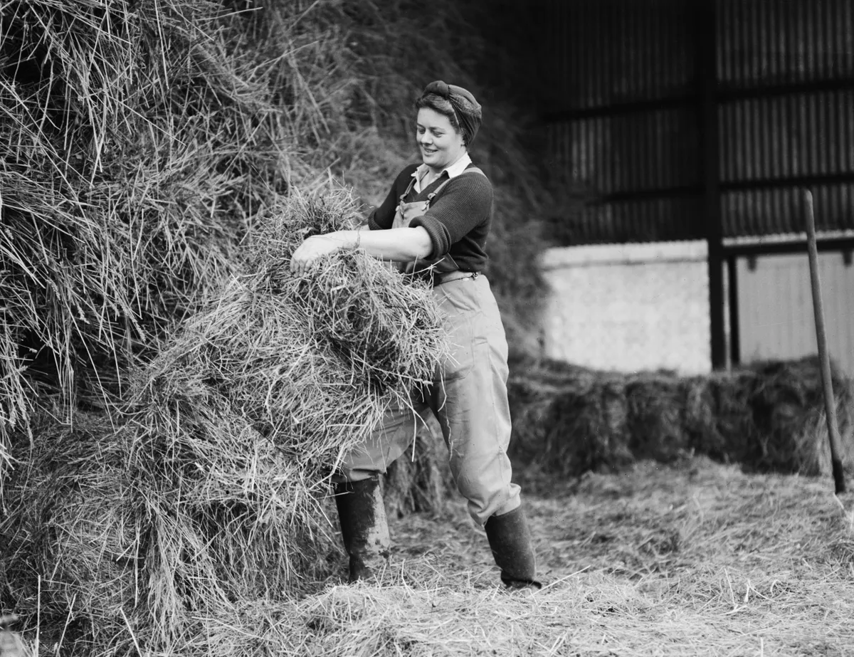 Women On The Home Front 1939 - 1945, The Women's Land Army (WLA)