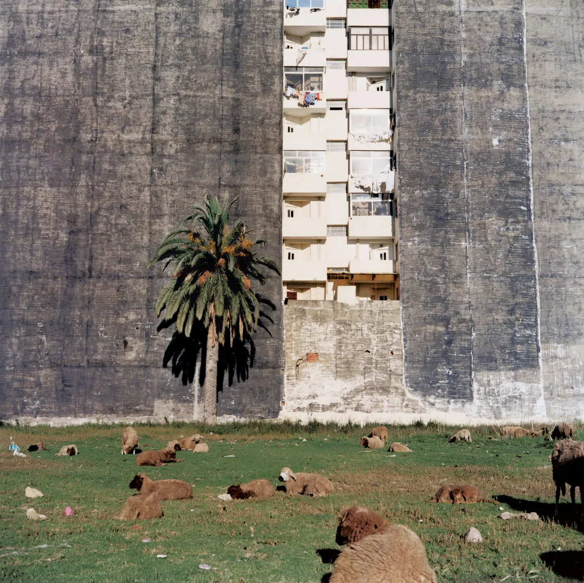 Yto Barrada Terrain Vague – Tanger (Vacant Lot – Tangier), 2001. Chromogenic print.