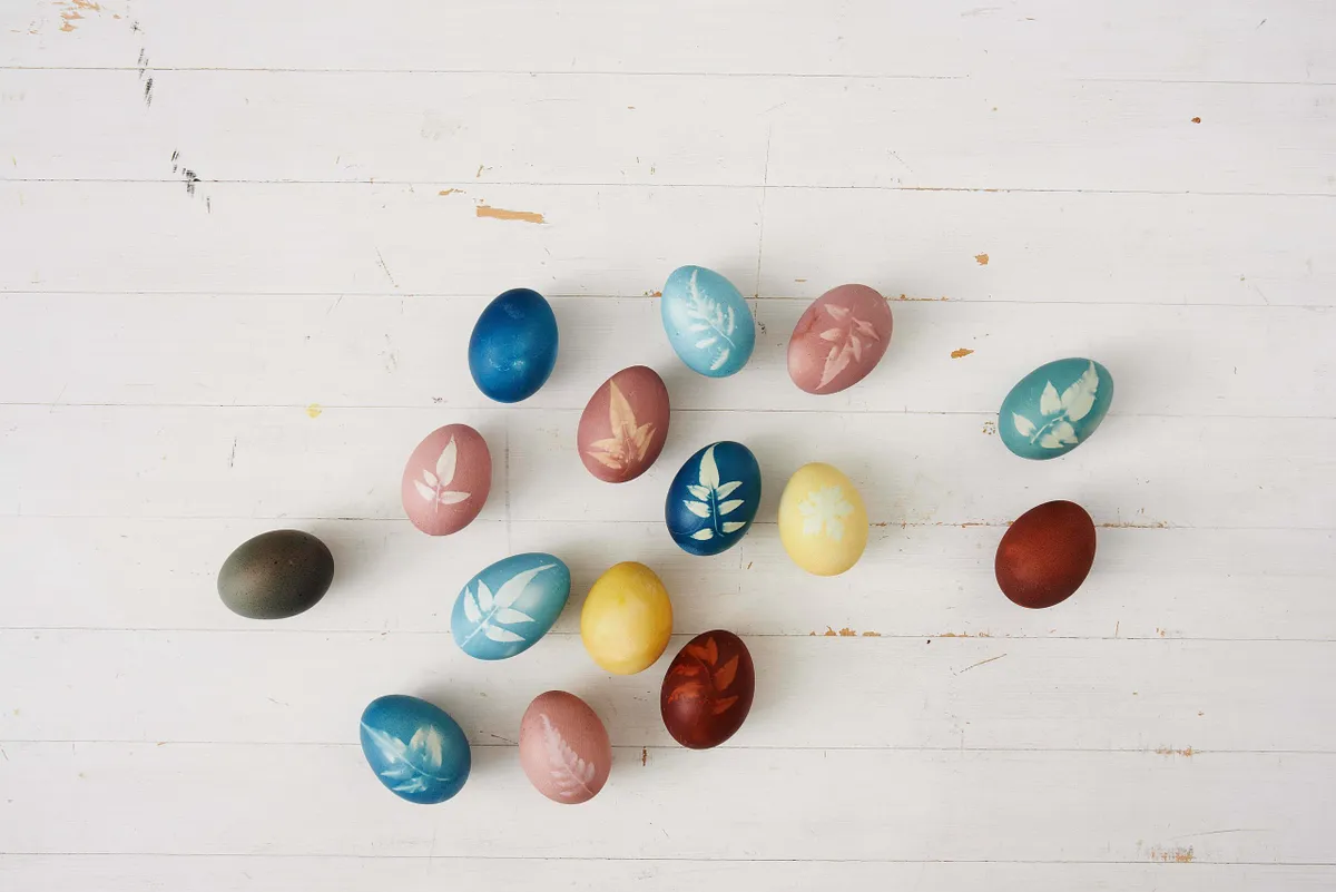 Make botanical patterns on eggs for Easter