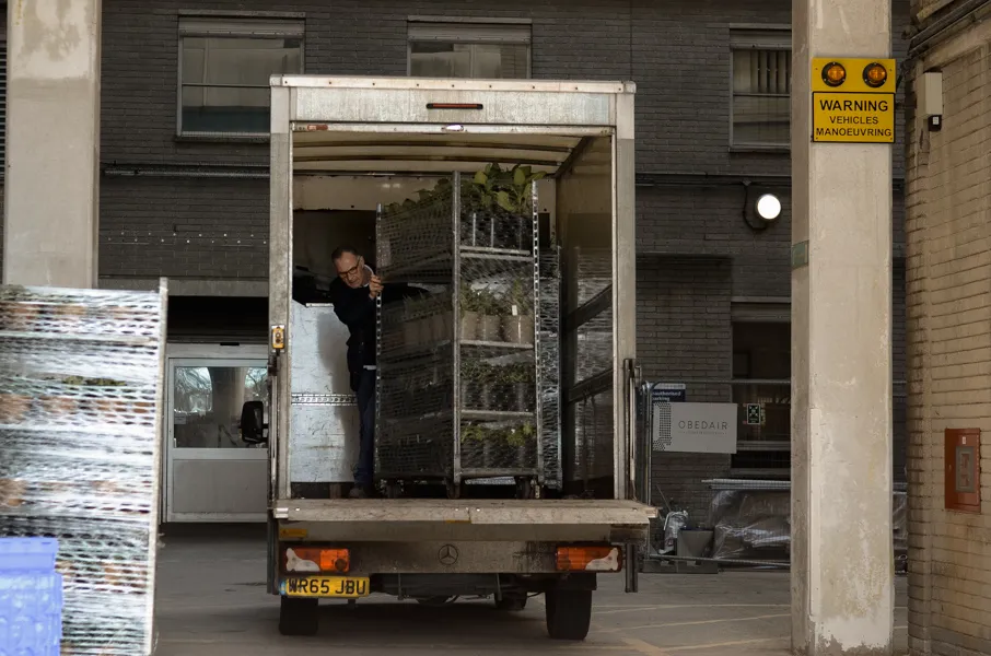 Plants arriving with Mark Straver Hortus Loci