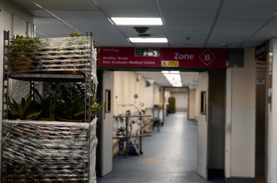Plants in hospital