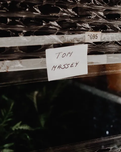Plants on trolley