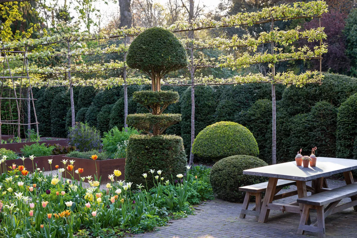 A small north London garden by Arne Maynard