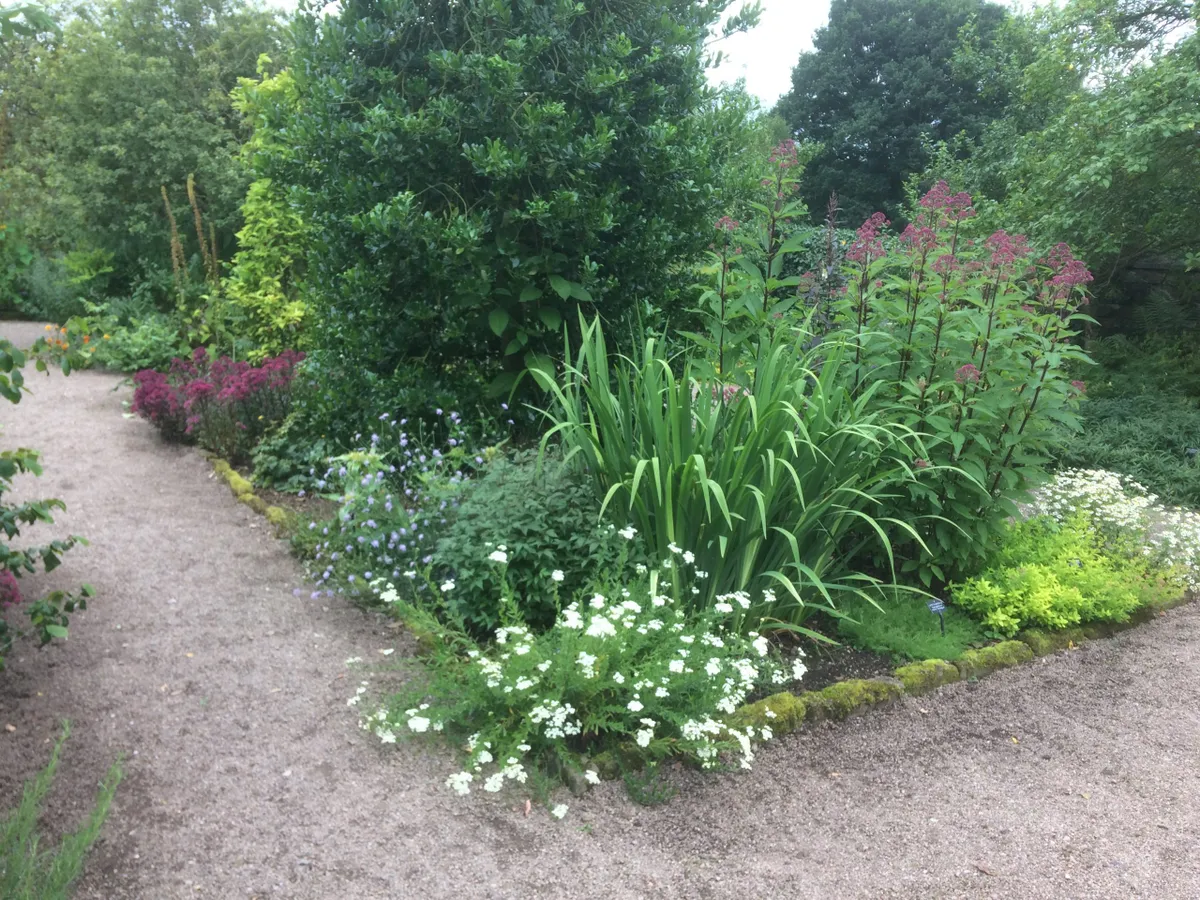 Herb Garden at Acorn Bank