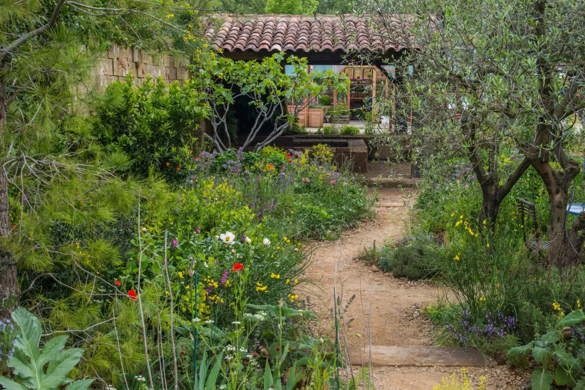 2015: A Perfumer's Garden in Grasse by L'Occitane at RHS Chelses Flower Show Designed by James Basson. 