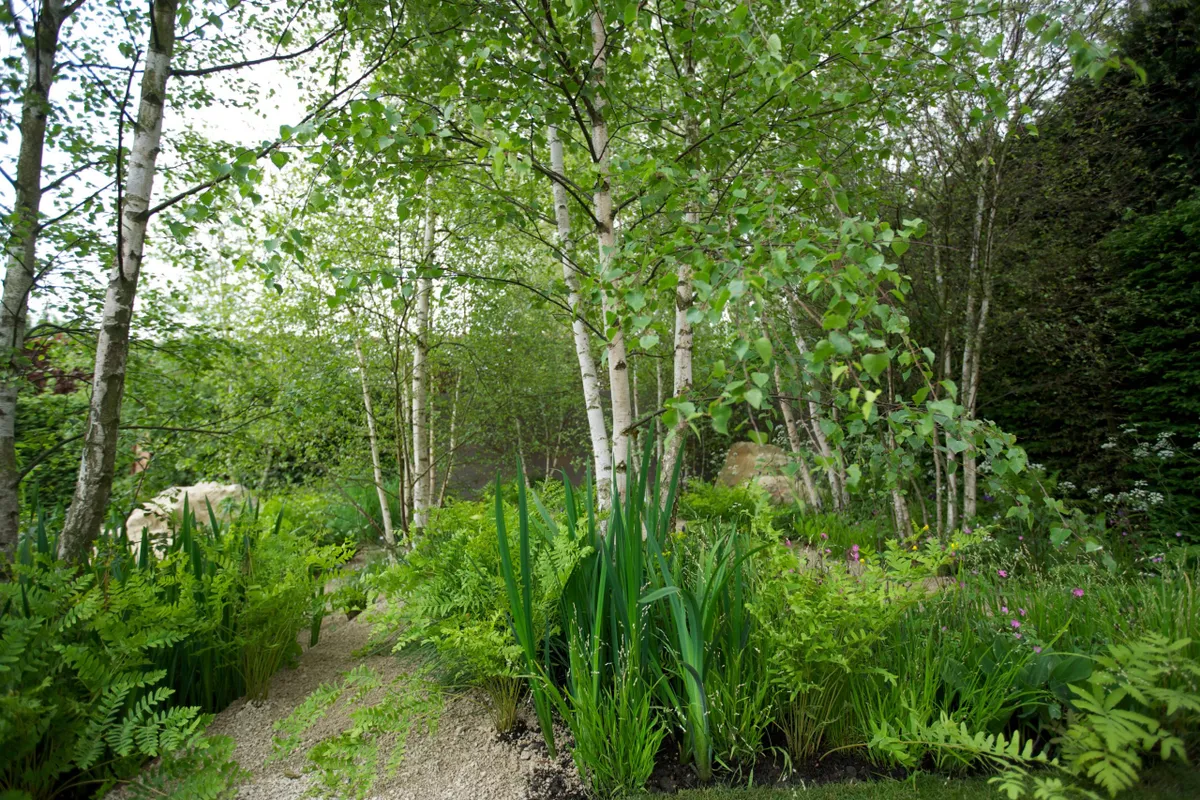 2012: The Telegraph garden at RHS Chelsea Flower Show. Designed by Sarah Price