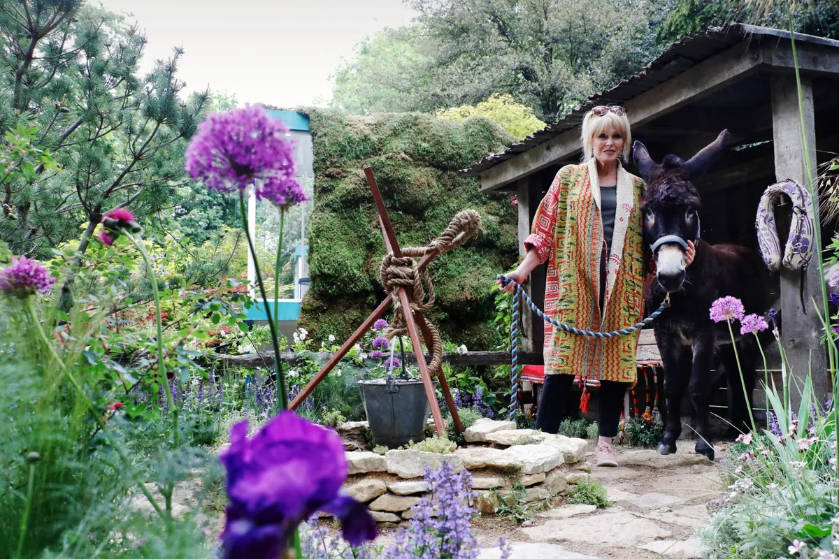 Joanna Lumley, actress, poses with a donkey on The Donkey Sanctuary : Donkeys Matter garden at RHS Chelsea Flower Show in London, Tuesday May 21, 2019...Photograph : © Luke MacGregor. 44 (0) 79 79 74 50 30 .luke@lukemacgregor.com