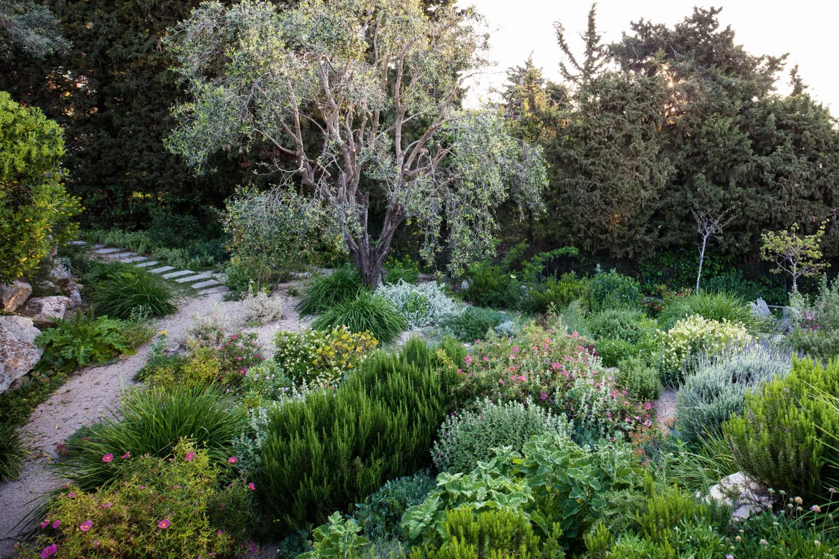 James Basson designed garden on the French Riviera