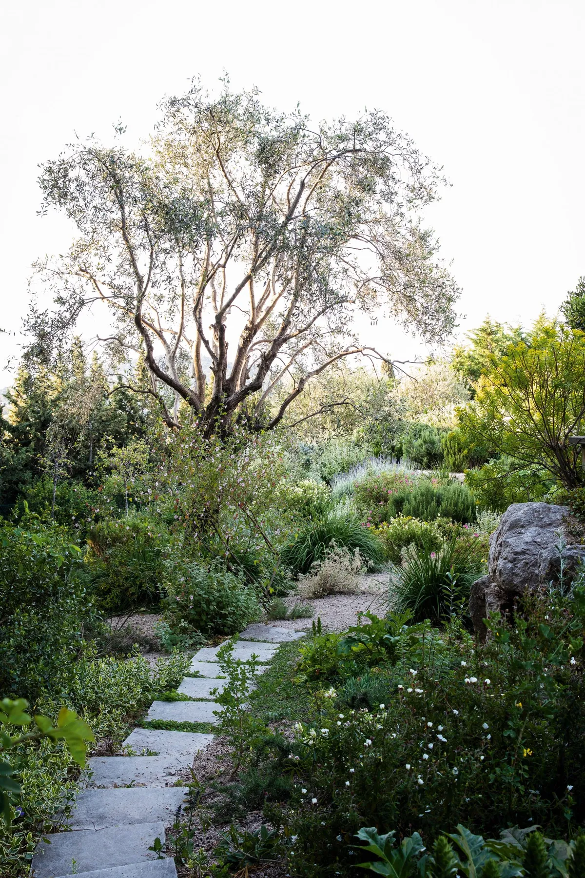 James Basson's garden on the French Riviera