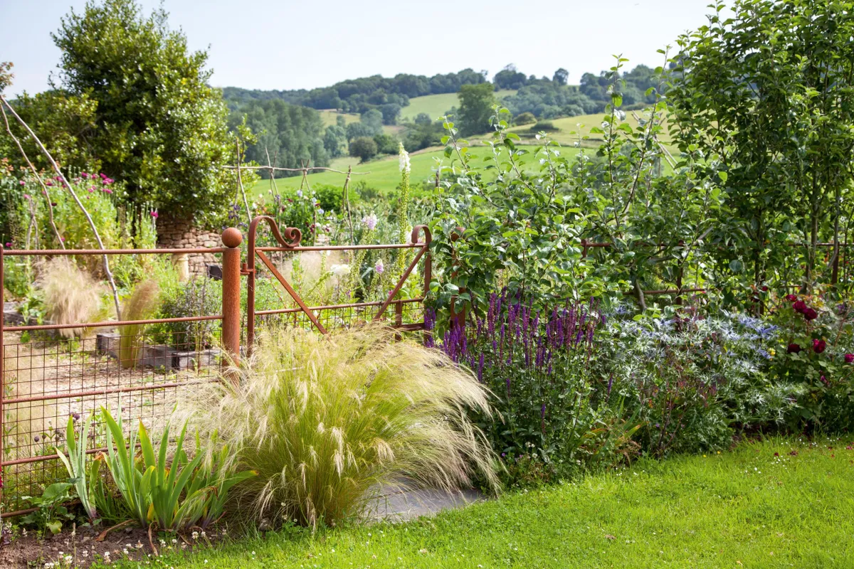Gateway with grasses in Alison Jenkins' garden