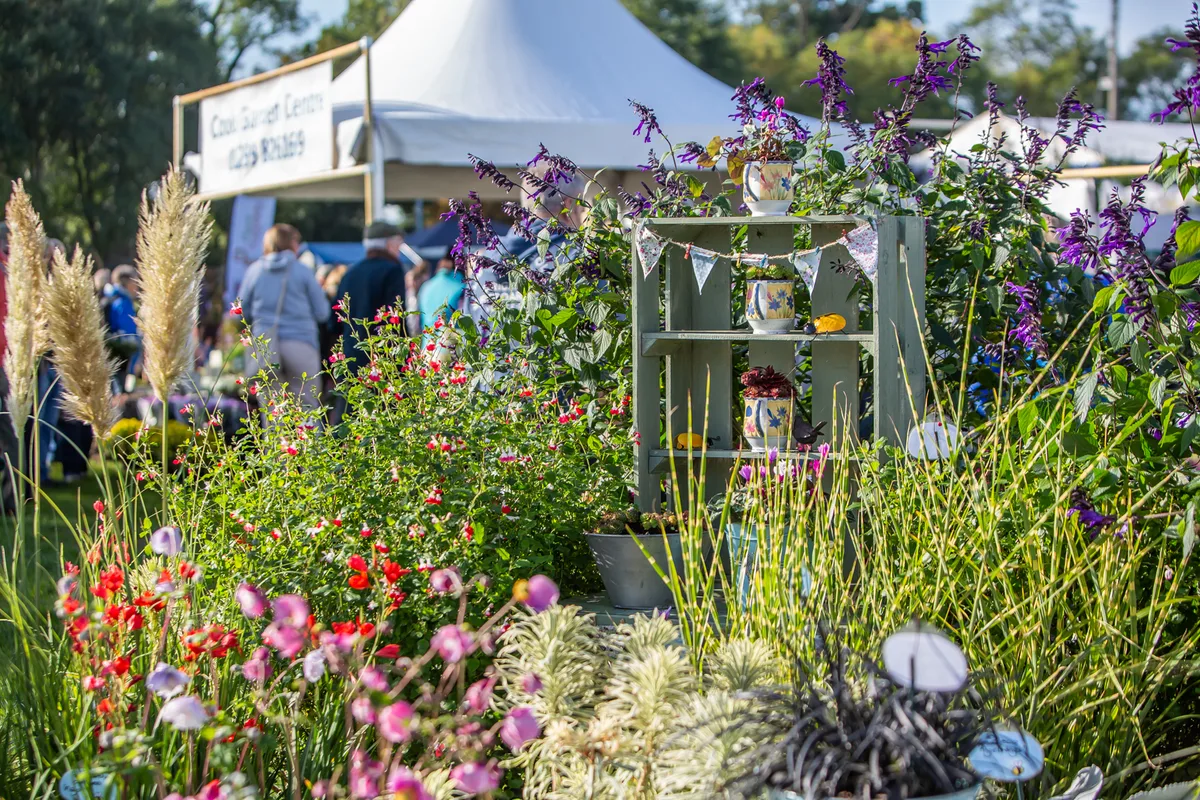 A shot from the Malvern Autumn Show in 2018 A shot from the Malvern Autumn Show in 2018