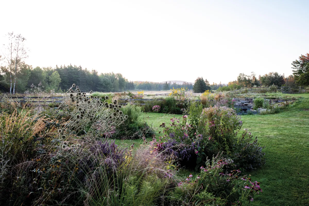 Caleb Davis' landscaped garden in Maine