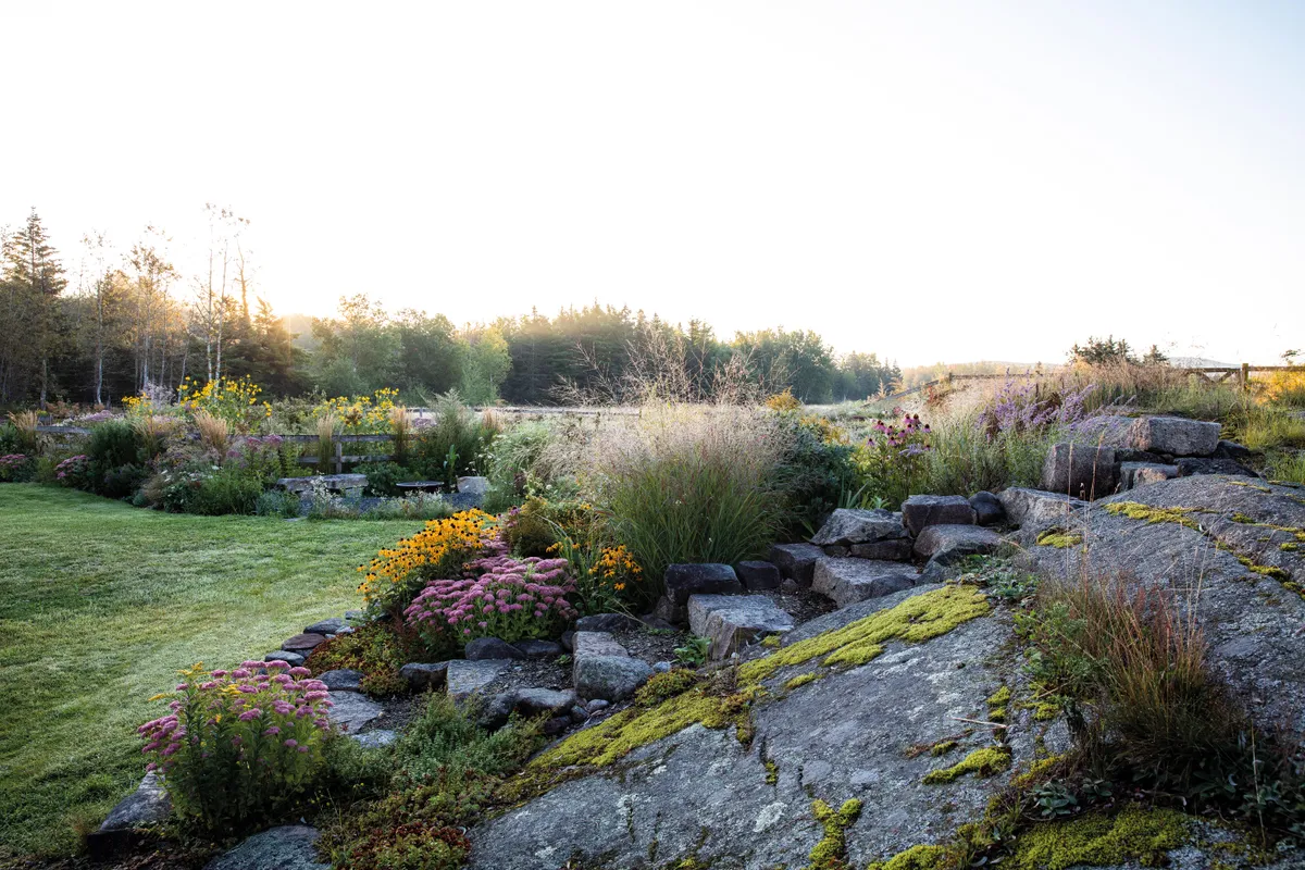 Caleb Davis' landscaped garden in Maine