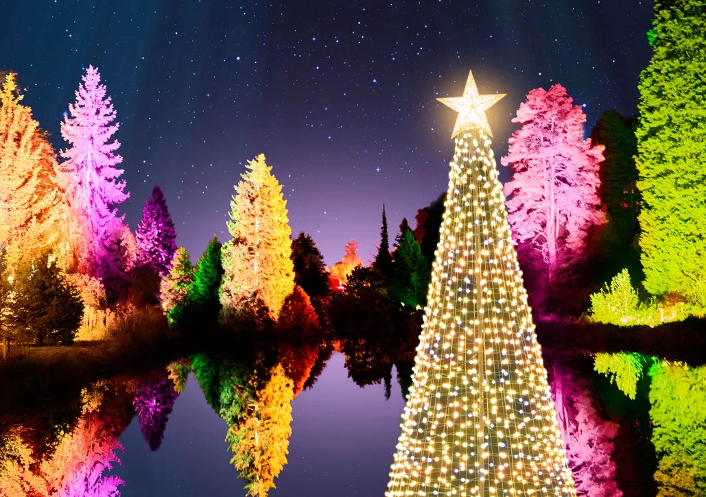 Christmas light shows: 19 top illuminated trails 2023 - Gardens Illustrated