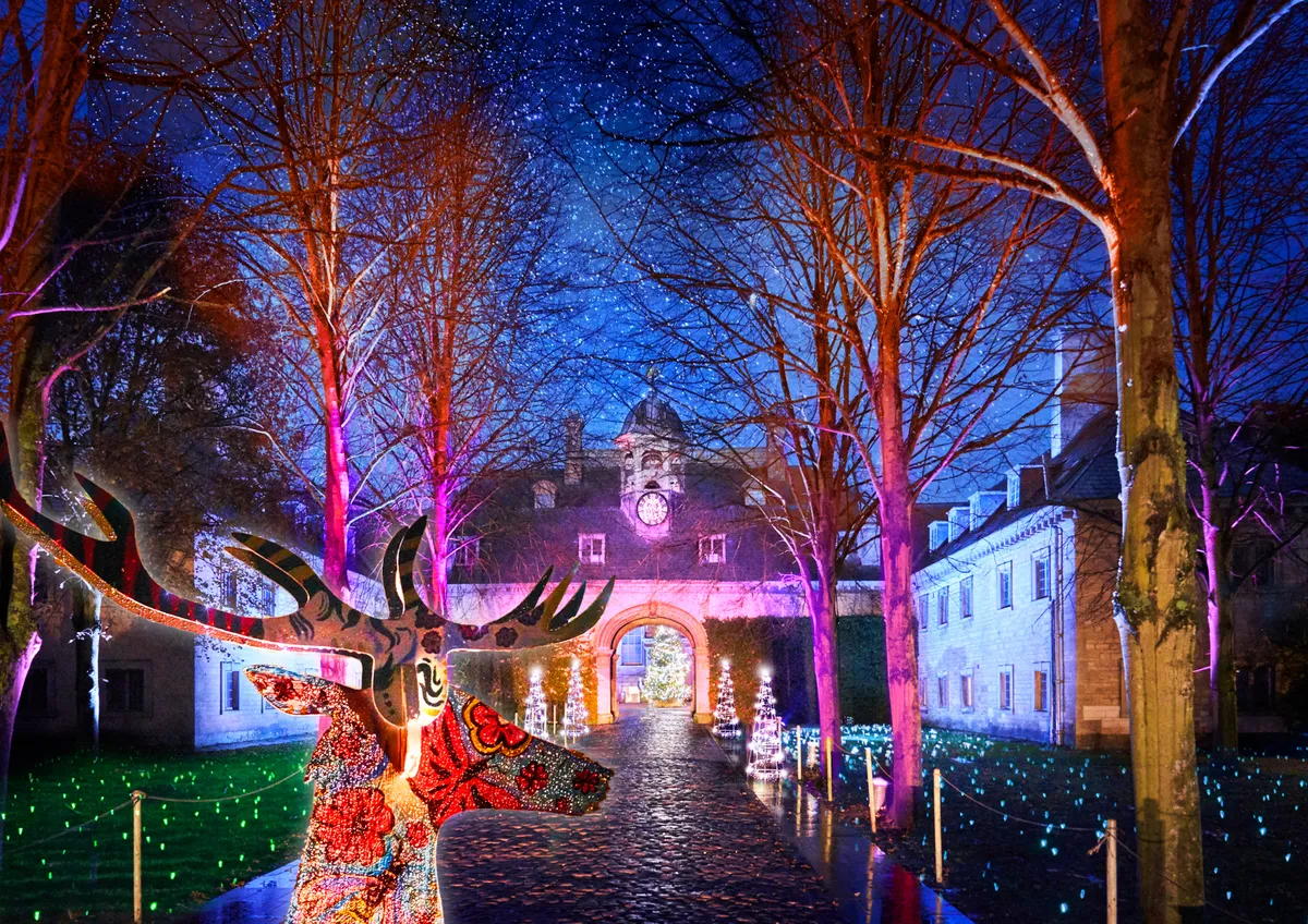 Belton House Christmas light show