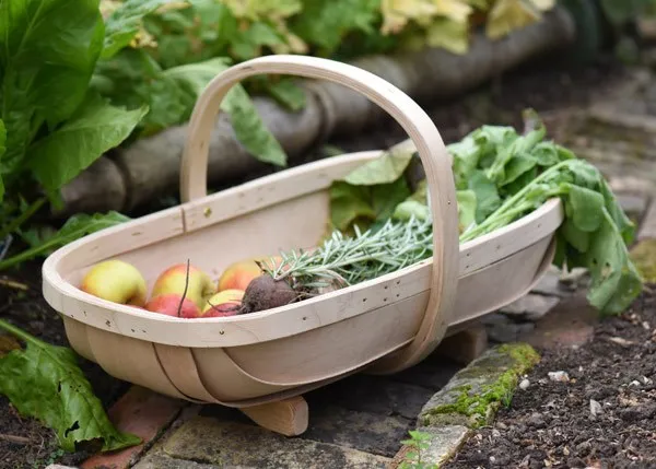 Buy Solid etched brass tray: Delivery by Waitrose Garden