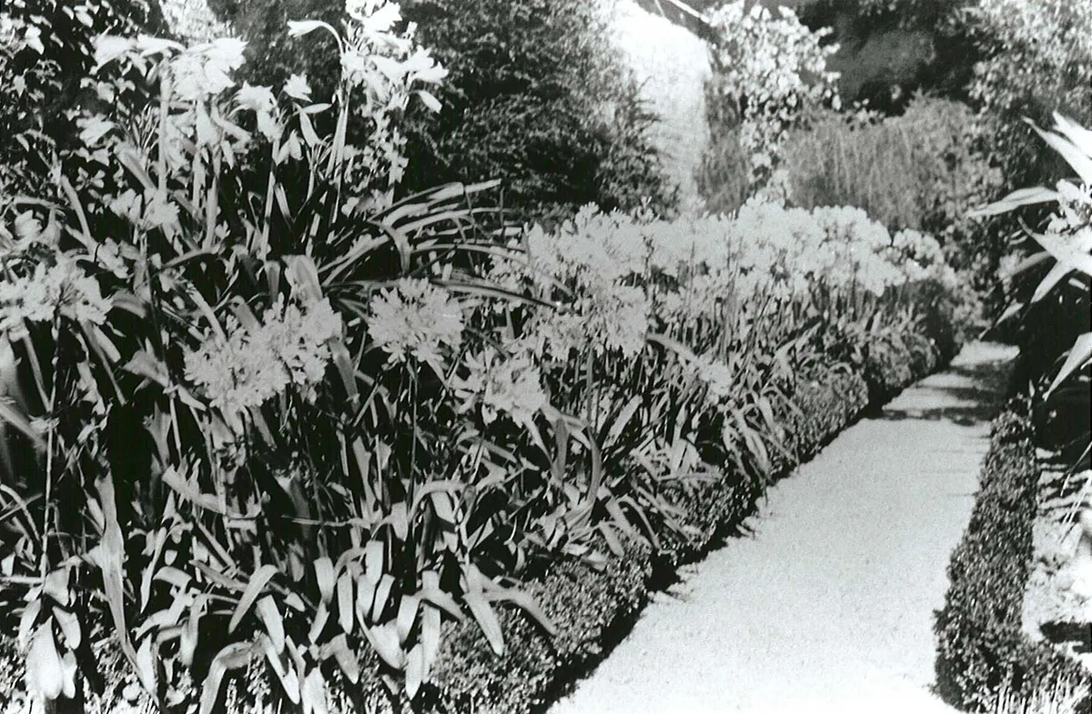 The original Heligan gardens