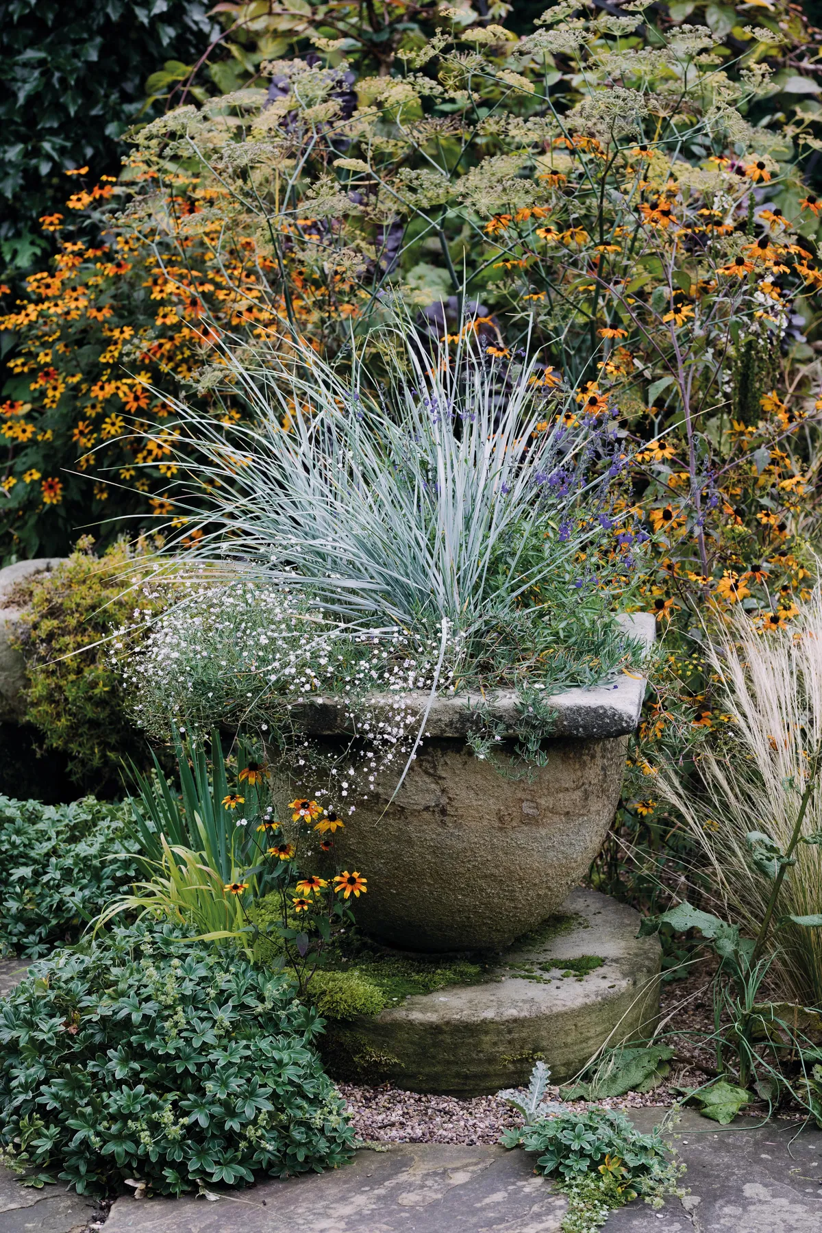 A container planting display with Elymus magellanicus from Ben Preston