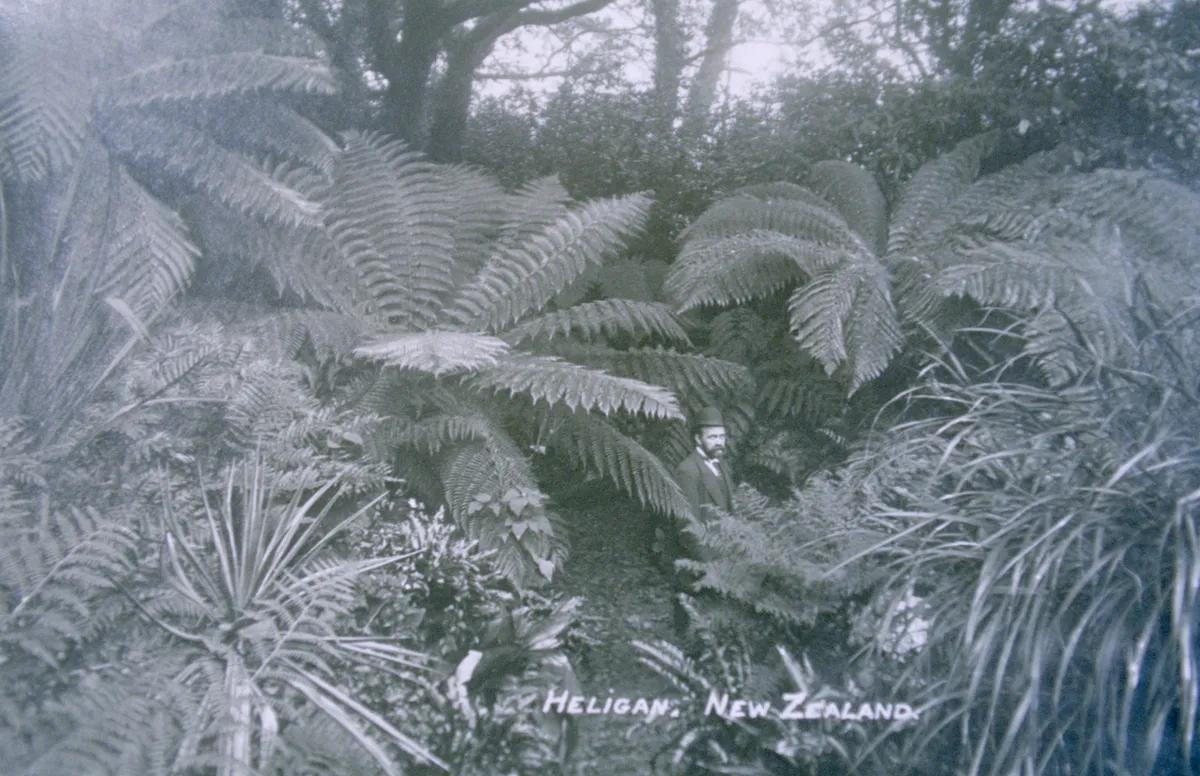 Heligan head gardener in New Zealand garden 1908