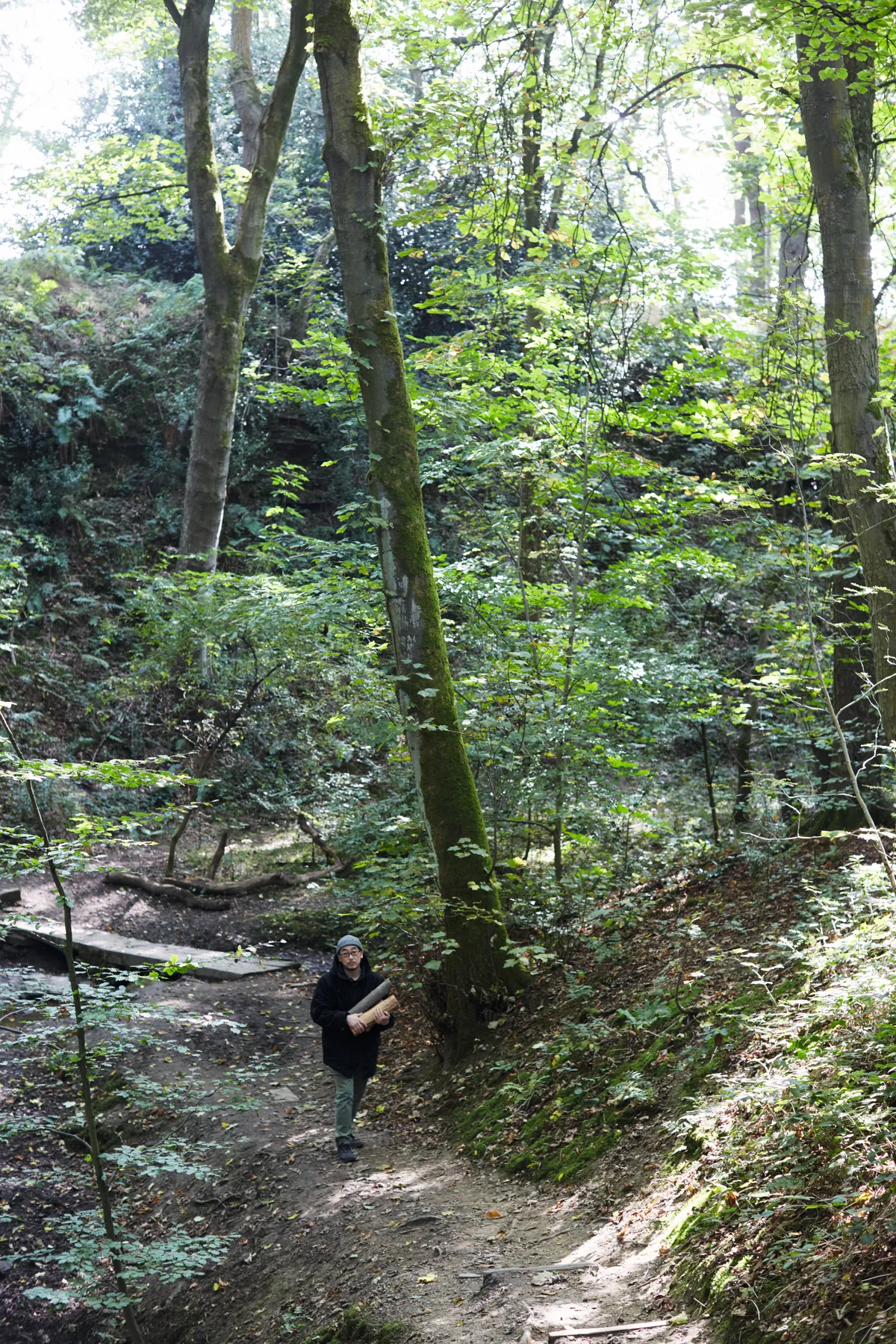 Yukihiro's local woods