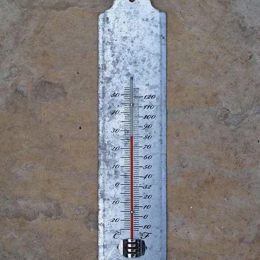 10 Wall Mounted Outdoor Thermometer - Clean Air Gardening