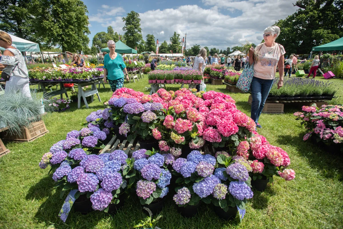 The Blenheim Palace flower show makes a welcome return for 2021