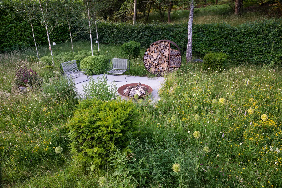 Sawn sandstone slabs form a stylish terrace enveloped by the mass of ever-changing wildflowers. This central island is structurally in step with the robust, clipped outlines of Pittosporum tenuifolium ‘Golf Ball’, box and yew that contrast with the intricate and engaging meadow.