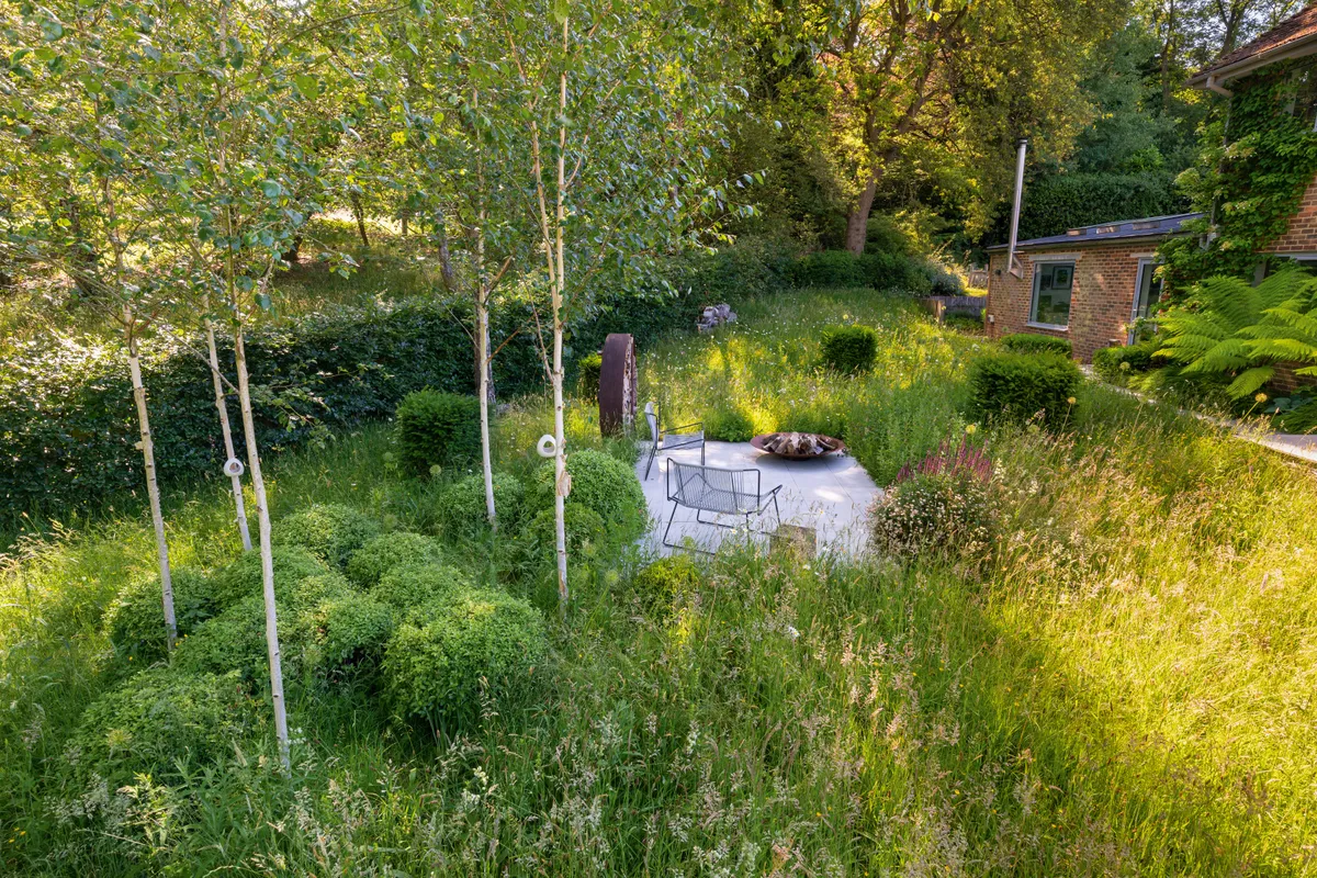 Amanda’s studio faces out on to the meadow via a large picture window. Grouped below a stand of establishing birch, large pittosporum domes add structure to the garden while Salvia nemorosa ‘Pink Beauty’ shines out from a terrace pot. Beyond lies a borrowed view of the neighbouring smallholding.