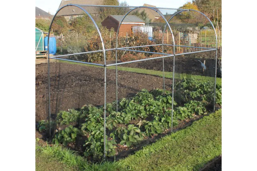 15 stylish fruit cages for keeping your produce protected