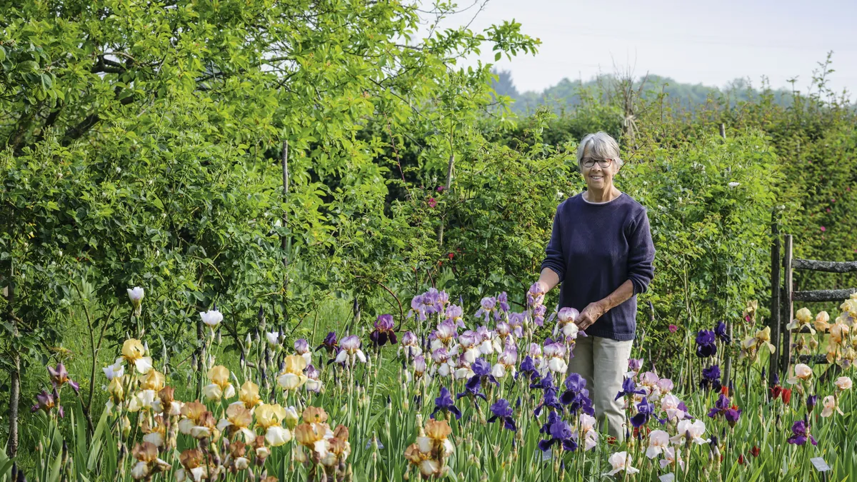 Sarah Cook has devoted much time and energy into tracking down Benton irises