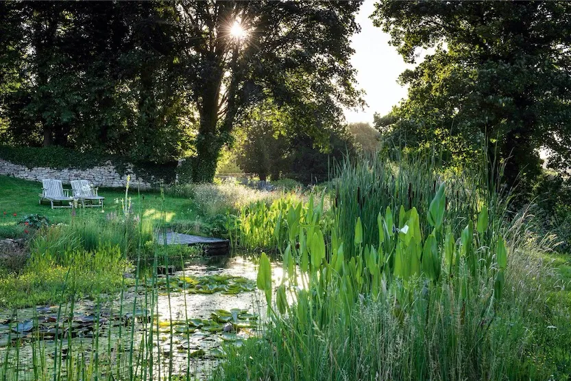 The pond offers a focal point for the long, sloping lawn and draws the eye to the middle ground. It is planted up to attract wildlife, such as dragonflies and damselflies, with Pontederia cordata, bulrushes, loosestrife, meadowsweet and waterlilies.