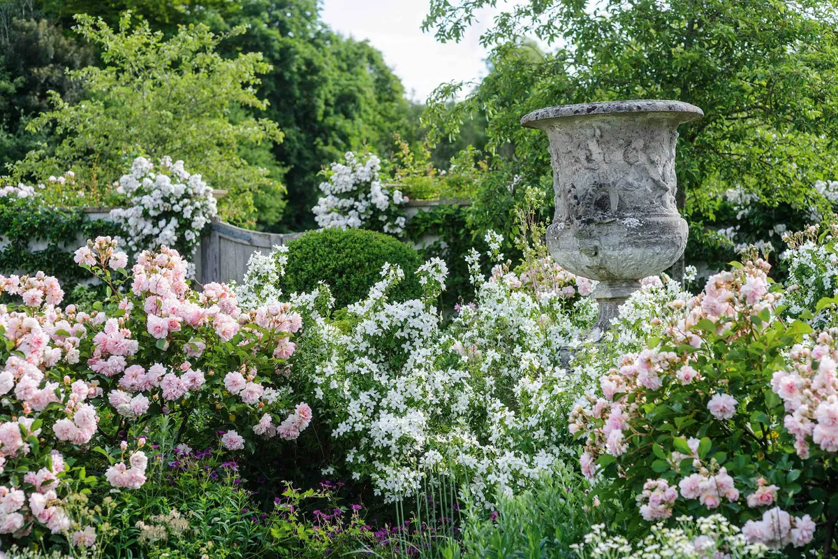 In the Swimming Pool Courtyard, Rosa ‘Felicia’, a repeat-flowering musk rose bred in 1928, swirls and eddies around a lichen-covered stone vase. Its deep-pink, double blooms flushed with salmon pink in the centre are in perfect harmony with the white of Philadelphus ‘Manteau d’Hermine’.
