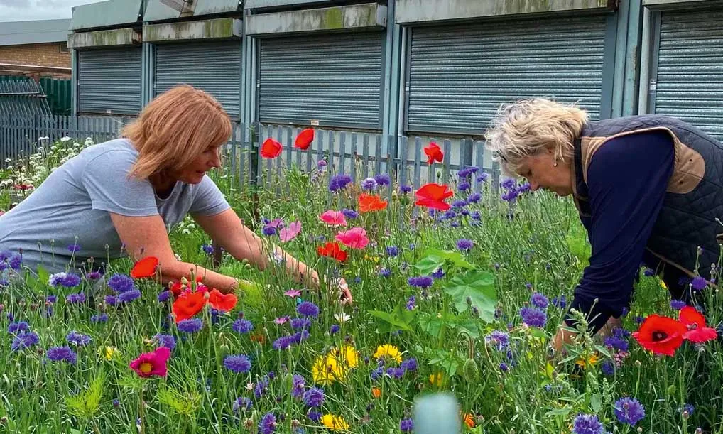 Sue Hulme (right) and Deb Fath pick flowers at the Wonky Garden, Cheshire. Sue set up the community project with friends she met during cancer treatment