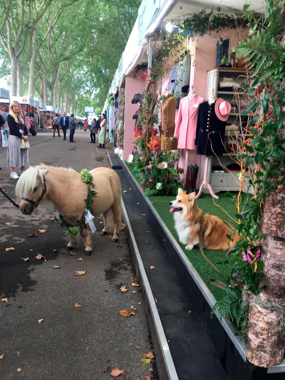Tiny horse meets cute dog. There's literally something for everyone at Chelsea.