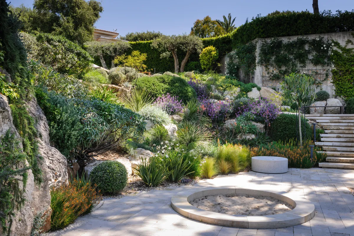 The sun-baked rock garden is planted in soil that has been made more open by the addition of volcanic rock. Crisp, clipped balls of Teucrium fruticans, the Australian rosemary Westringia fruticosa and dense, bushy rosemary, Salvia rosmarinus, along with cushioning plants, such as centaureas and erysimums, are interplanted with looser, more vertical forms, including the white society garlic Tulbaghia violacea ‘Alba’, the orange-flowered Bulbine frutescens (at the bottom), the fan-shaped Dasylirion serratifolium and two spiky aloes, the orange-flowered Aloe x spinossisima and further up the slope Aloe arborescens.