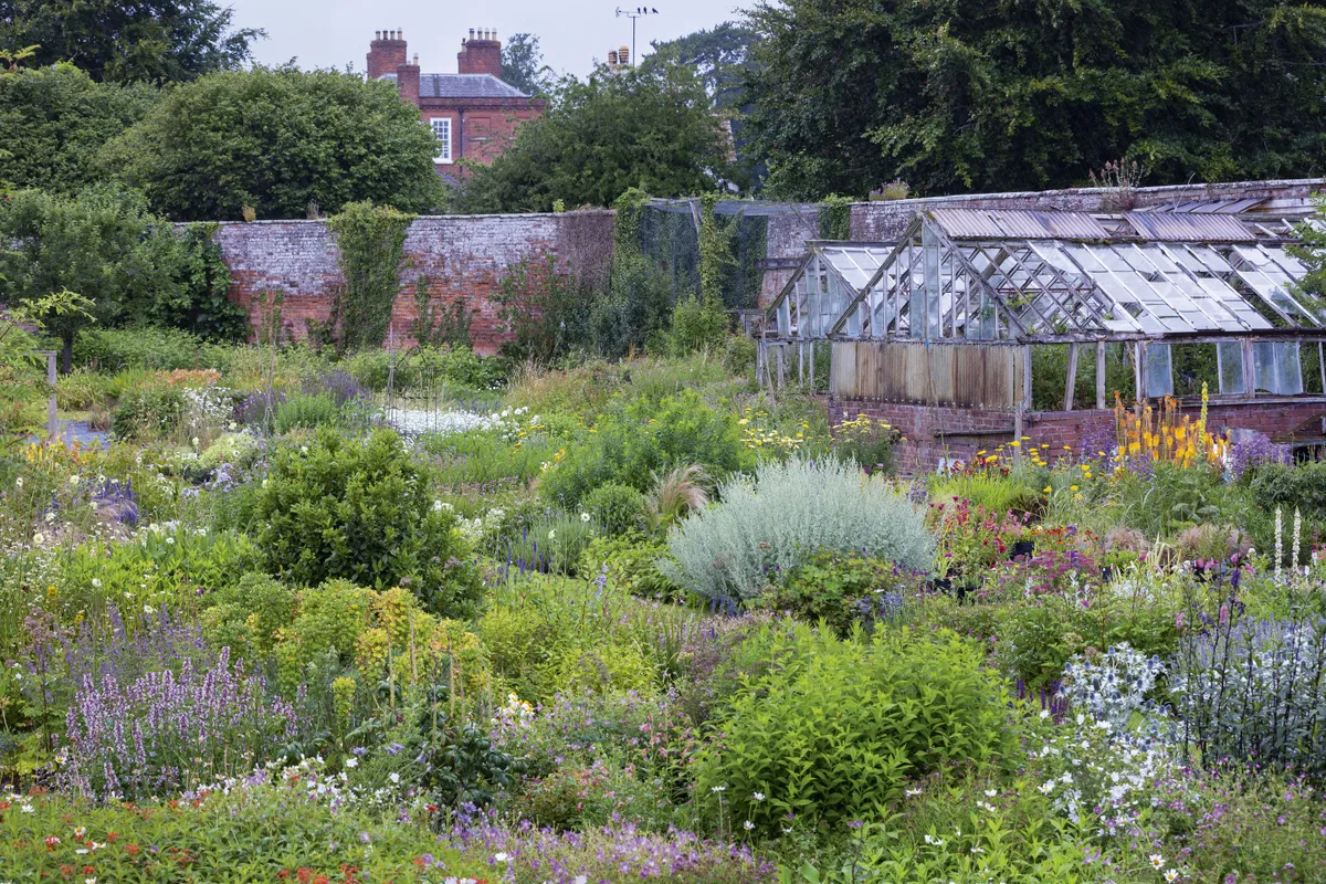 The original Victorian glasshouses were rebuilt in the 1920s and although now in need of being restored again, provide an atmospheric backdrop to the display area where customers can see how plants, including the eye-catching yellow Kniphofia ‘Fiery Fred’, will work together in a garden setting.