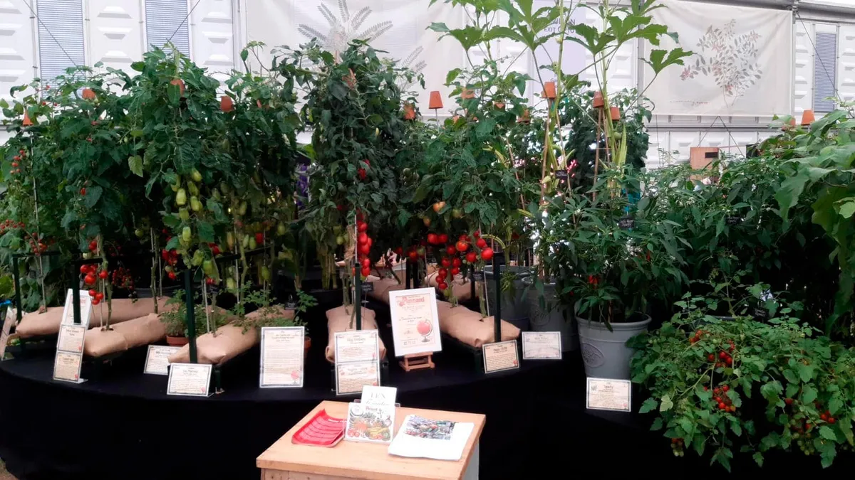 Part of the team's display – 10 Tomatoes That Changed The World.