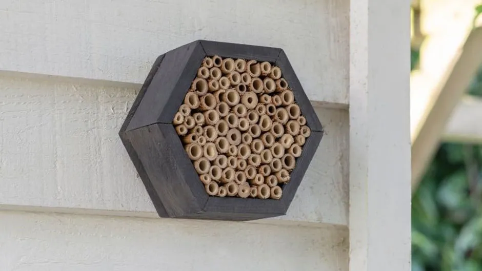 Spruce Wild Bee House