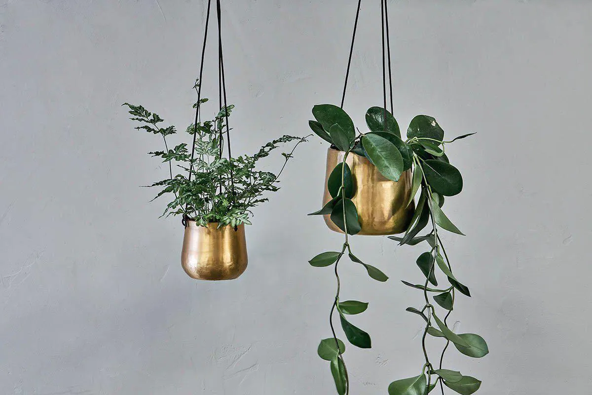 nkuku-atsu-brass-hanging-planter-14976772374637