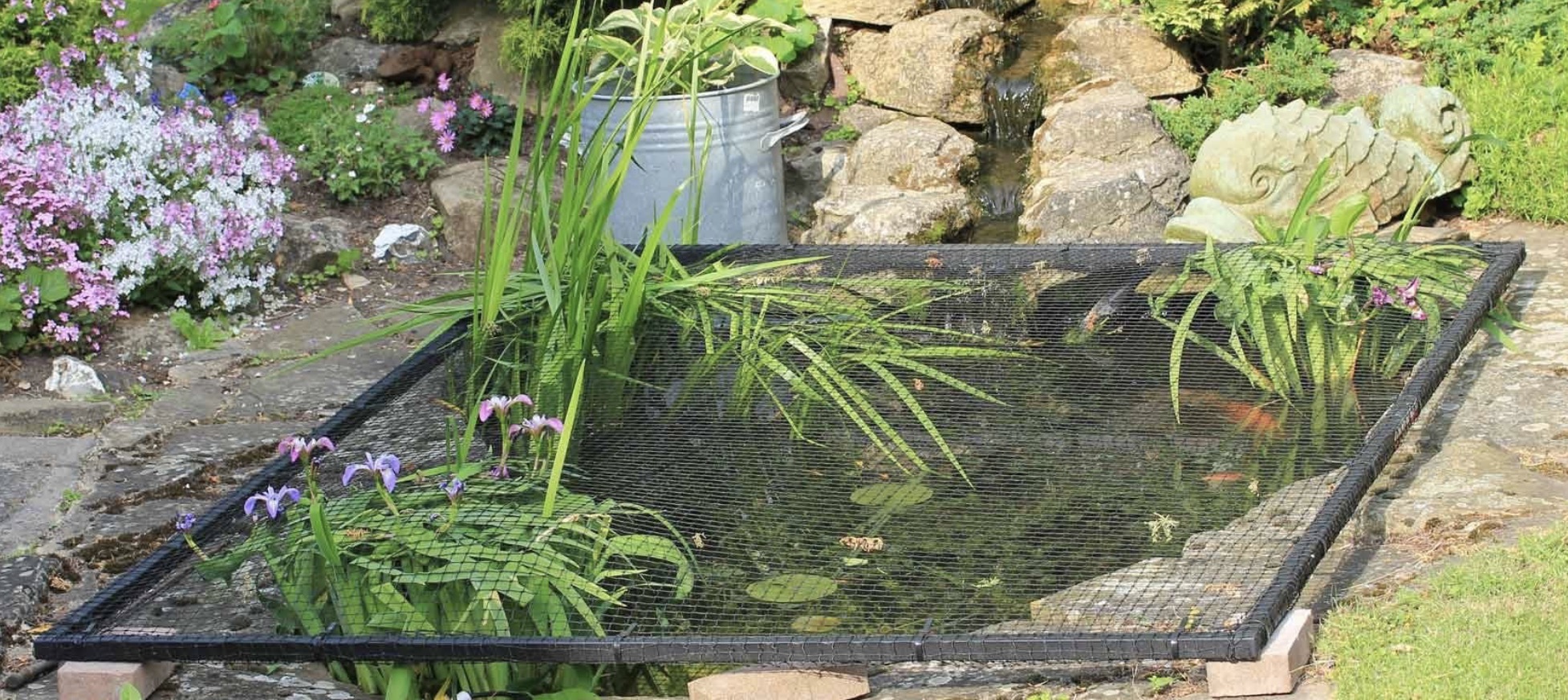 Pond cover: the best ways to protect your pond - Gardens Illustrated