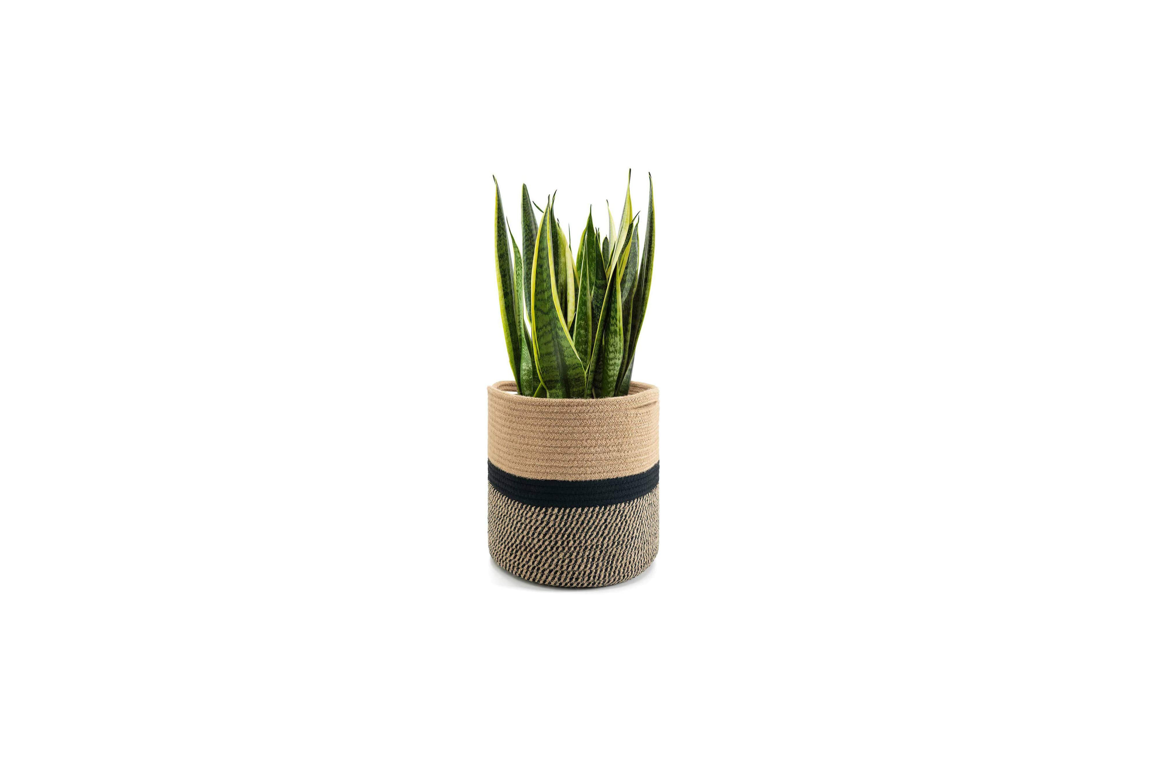 Best pot covers for your house plants