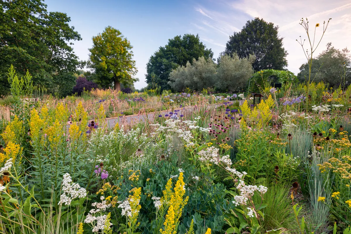 gardens to visit in london for free