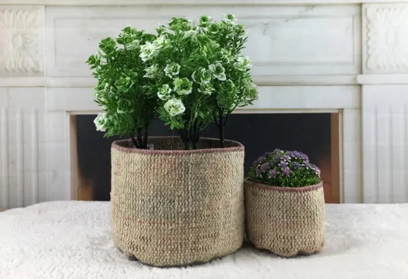 Best pot covers for your house plants - Gardens Illustrated