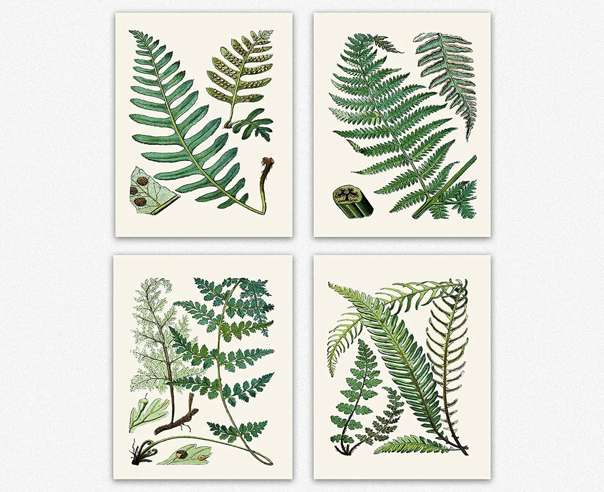 4 botanical art prints