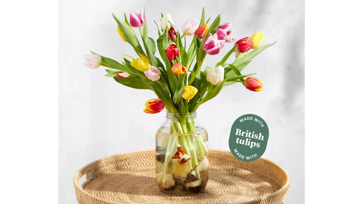 Tulips Bouquet in a vase