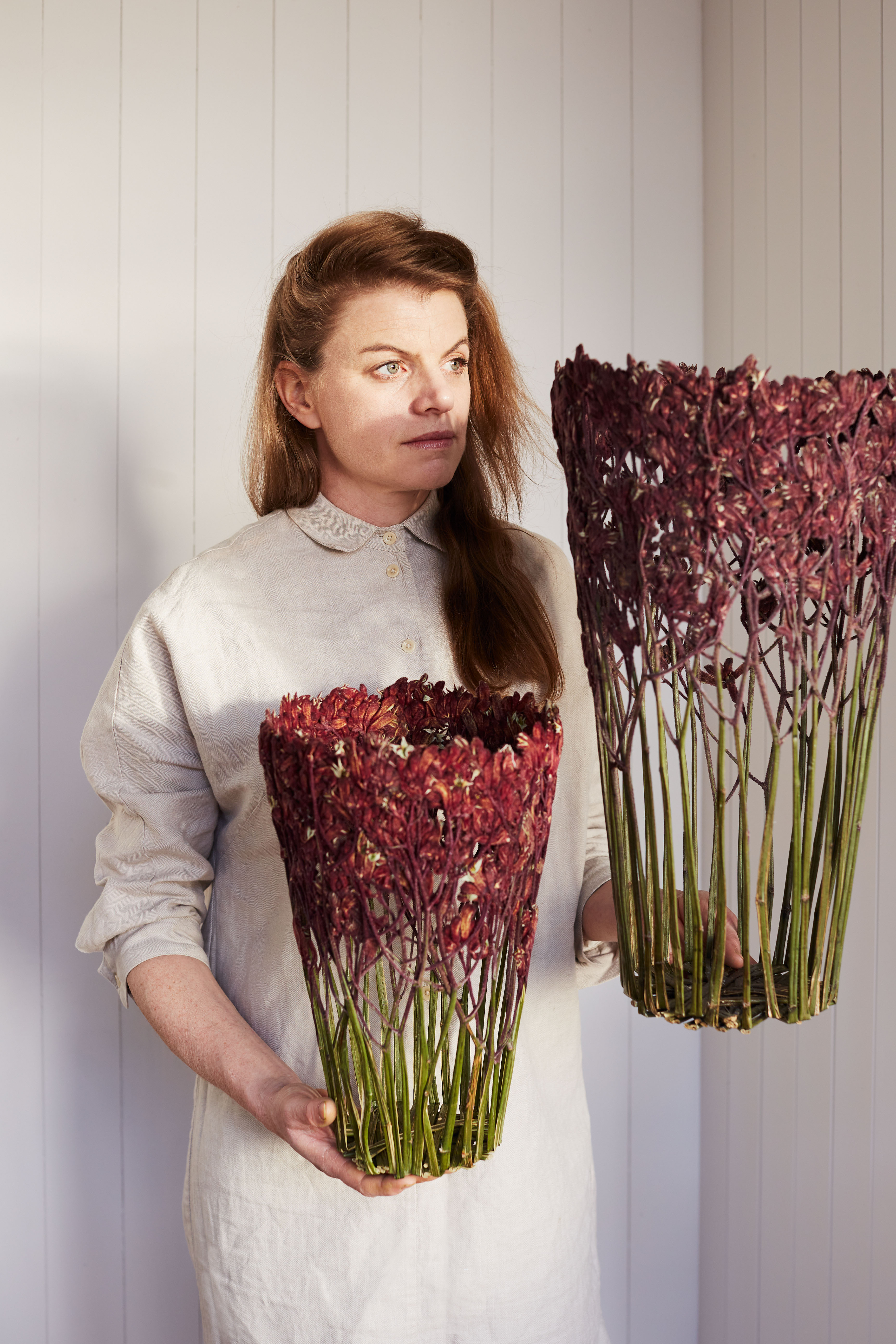 Sculptor of flowers: how Shannon Clegg makes art from pressed flowers -  Gardens Illustrated