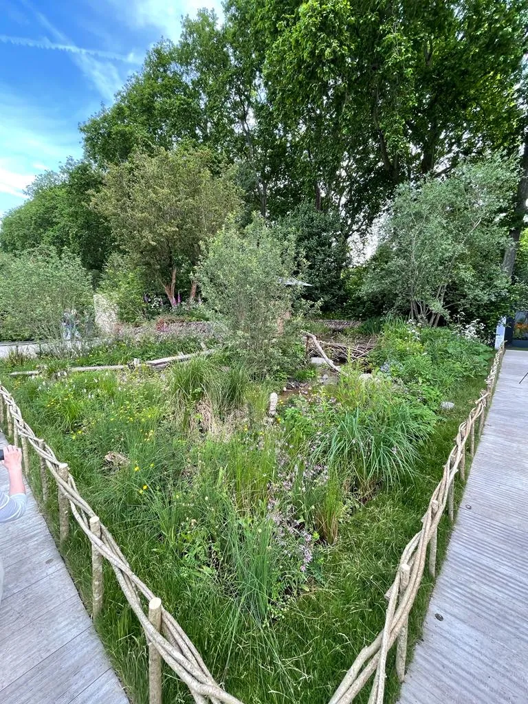 A Rewilding Britain Landscape at Chelsea Flower Show 2022, designed by Lulu Urquhart and Adam Hunt