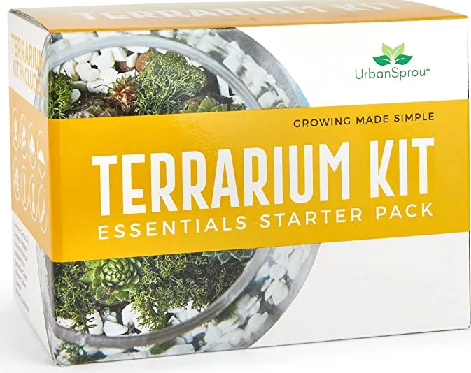 A terrarium-making kit for Father's Day