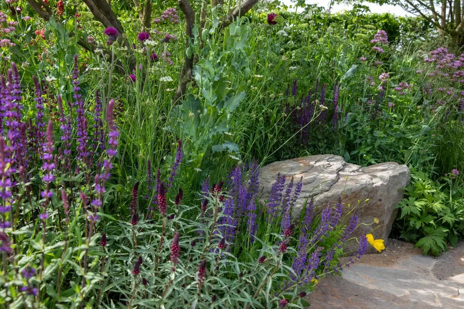 The Place2Be Securing Tomorrow Garden, designed by Jamie Butterworth at RHS Chelsea Flower Show 2022